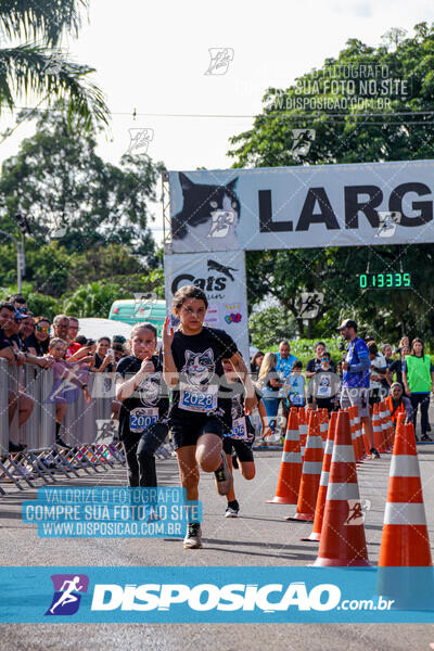 Cats Run Londrina 2025