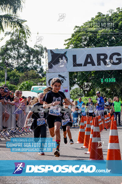 Cats Run Londrina 2025