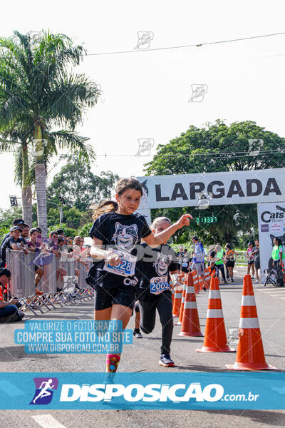 Cats Run Londrina 2025