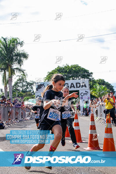 Cats Run Londrina 2025