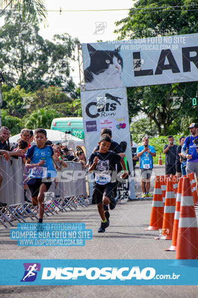 Cats Run Londrina 2025