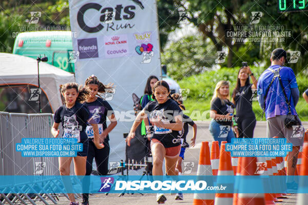 Cats Run Londrina 2025