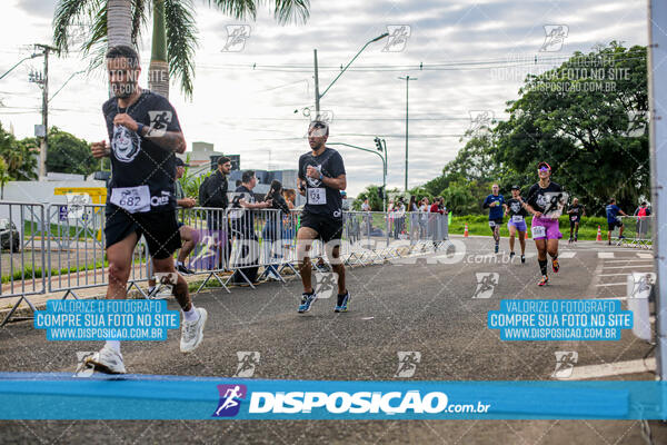 Cats Run Londrina 2025