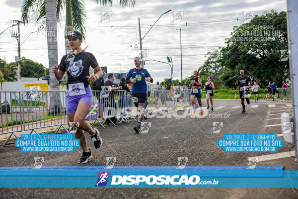 Cats Run Londrina 2025