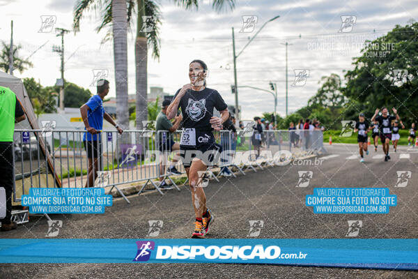 Cats Run Londrina 2025