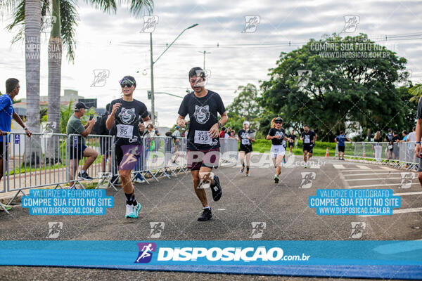 Cats Run Londrina 2025