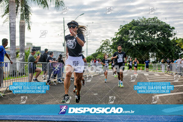 Cats Run Londrina 2025