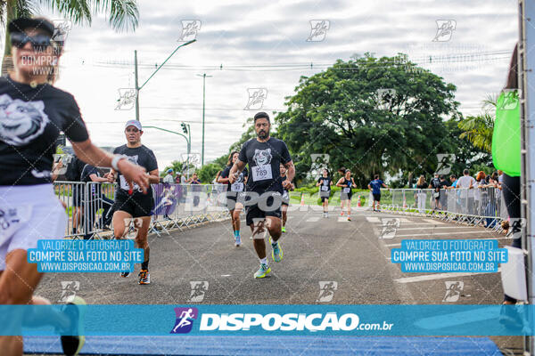 Cats Run Londrina 2025