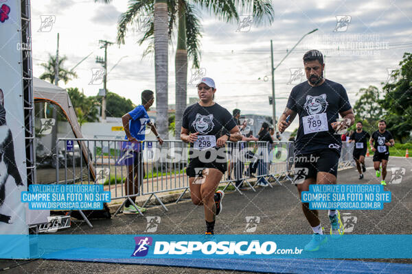 Cats Run Londrina 2025