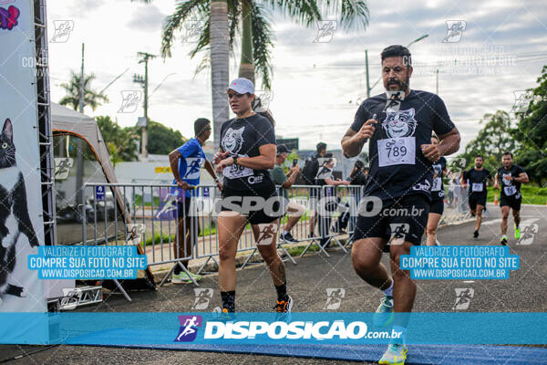 Cats Run Londrina 2025