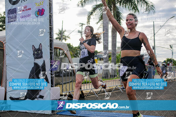 Cats Run Londrina 2025