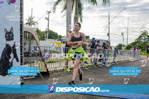 Cats Run Londrina 2025