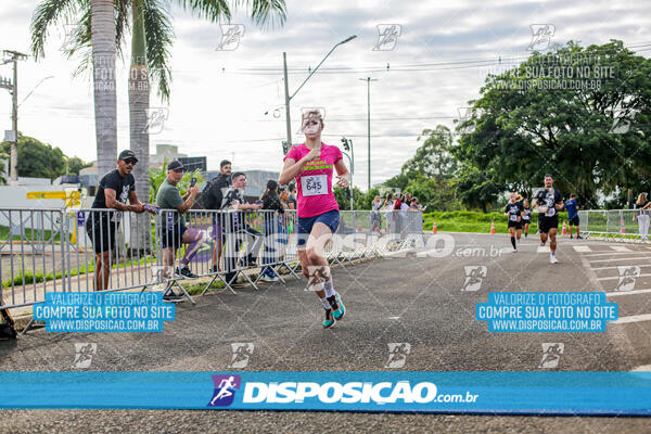 Cats Run Londrina 2025