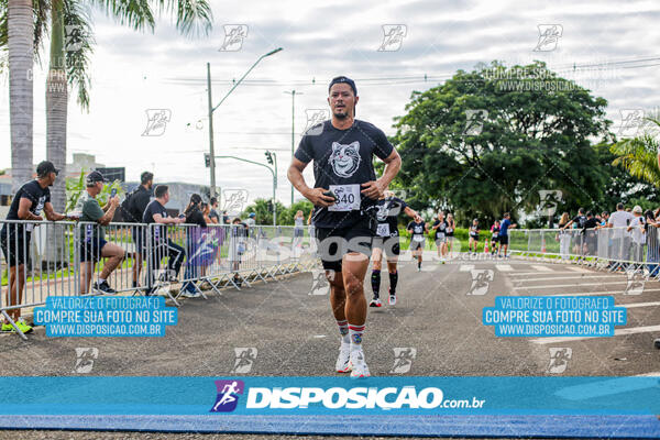 Cats Run Londrina 2025