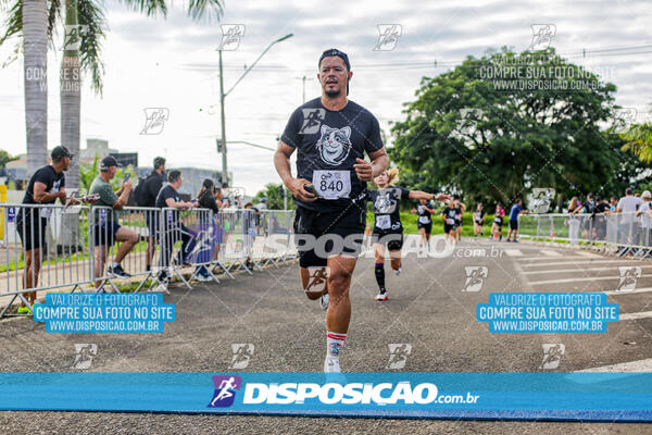 Cats Run Londrina 2025