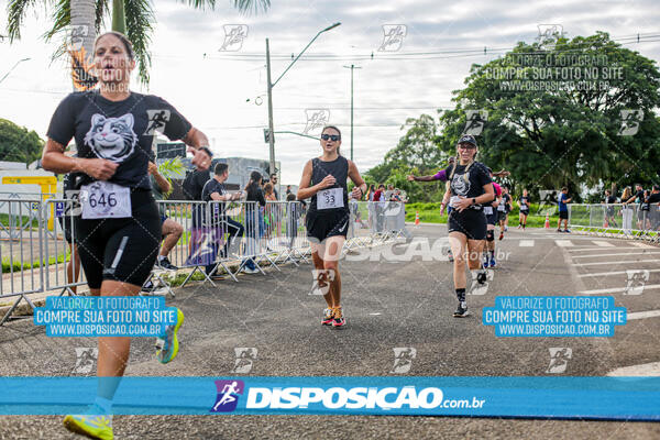 Cats Run Londrina 2025