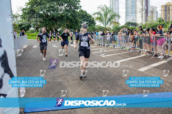 Cats Run Londrina 2025