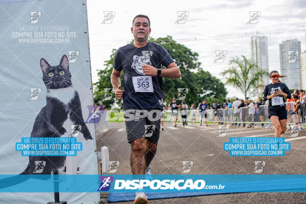 Cats Run Londrina 2025