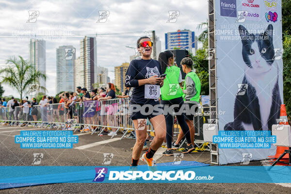 Cats Run Londrina 2025