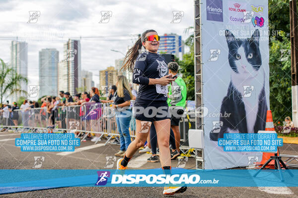 Cats Run Londrina 2025