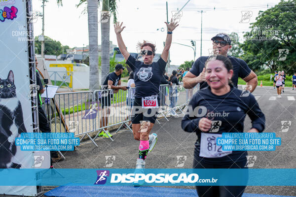 Cats Run Londrina 2025