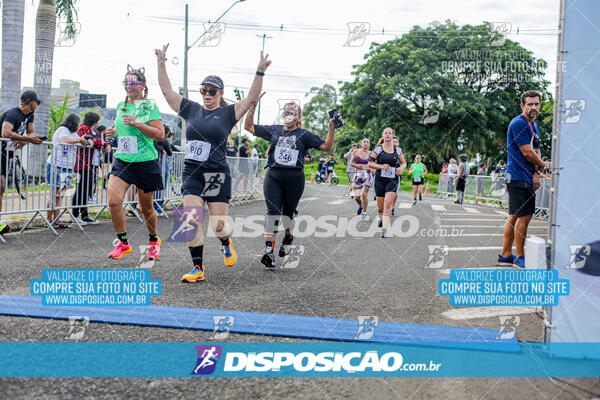 Cats Run Londrina 2025