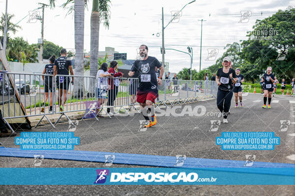 Cats Run Londrina 2025