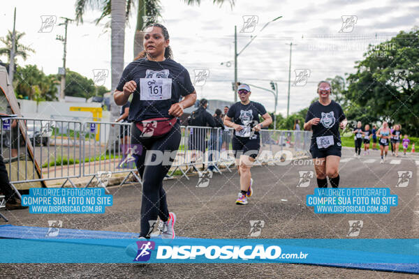 Cats Run Londrina 2025