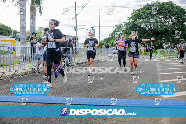 Cats Run Londrina 2025