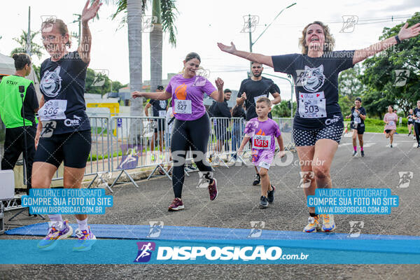 Cats Run Londrina 2025