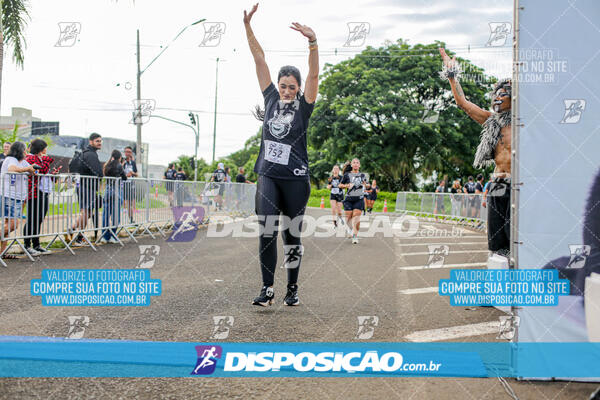 Cats Run Londrina 2025