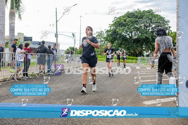 Cats Run Londrina 2025