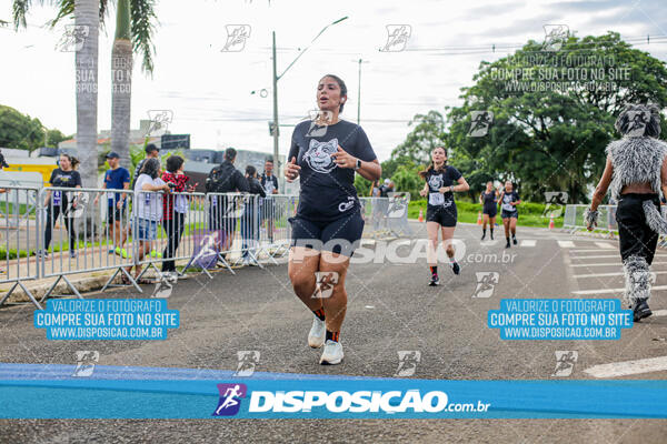 Cats Run Londrina 2025