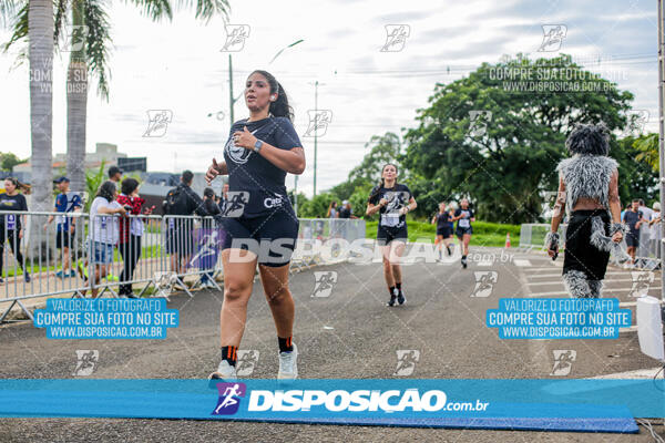 Cats Run Londrina 2025