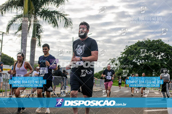 Cats Run Londrina 2025