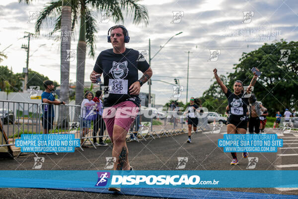 Cats Run Londrina 2025