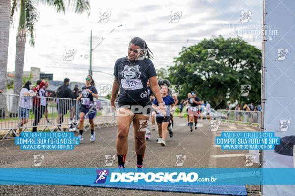 Cats Run Londrina 2025