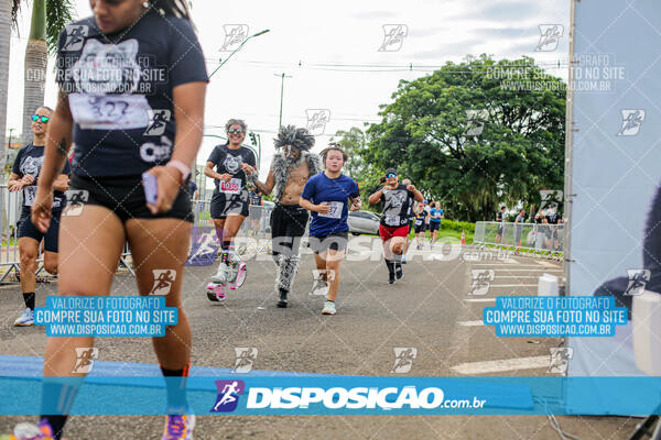 Cats Run Londrina 2025