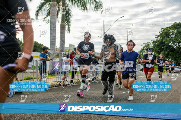 Cats Run Londrina 2025