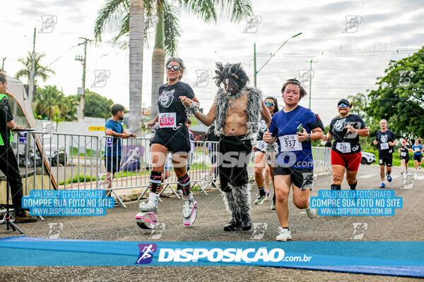 Cats Run Londrina 2025