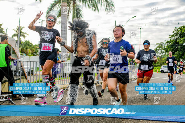 Cats Run Londrina 2025