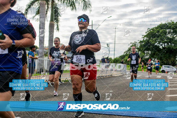 Cats Run Londrina 2025