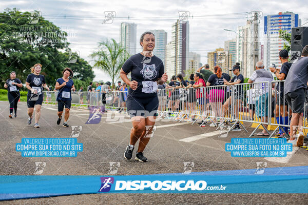 Cats Run Londrina 2025