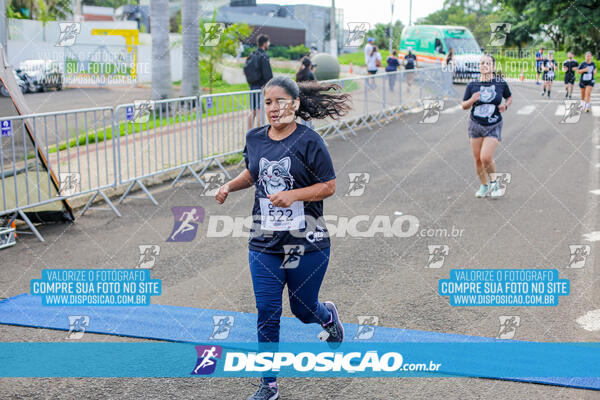 Cats Run Londrina 2025