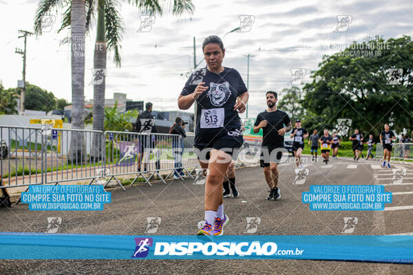 Cats Run Londrina 2025