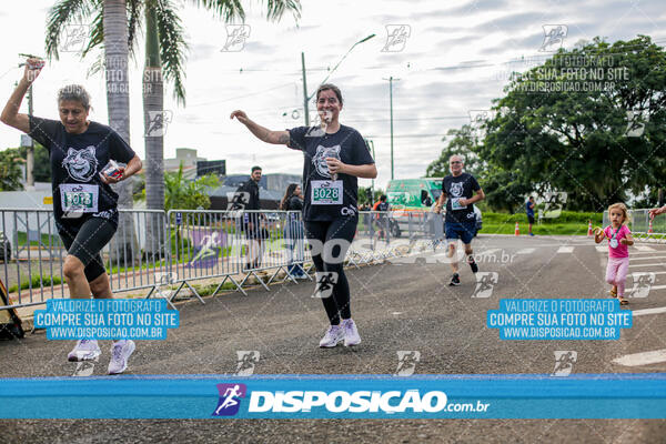 Cats Run Londrina 2025