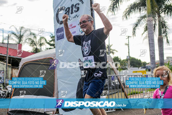 Cats Run Londrina 2025