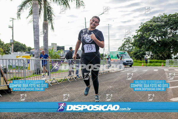 Cats Run Londrina 2025