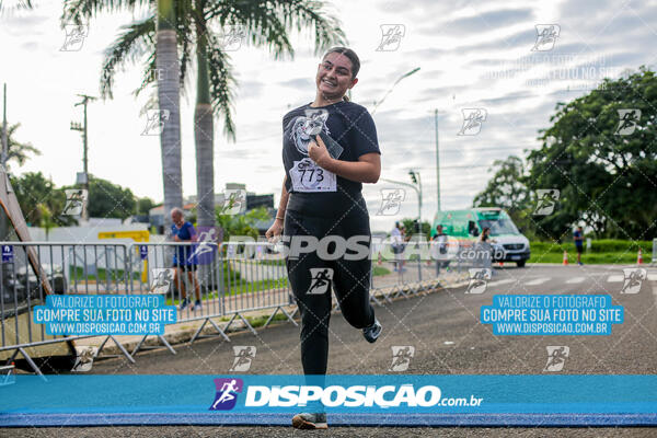 Cats Run Londrina 2025