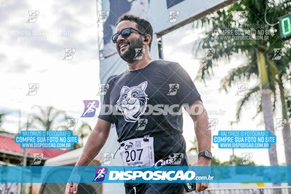 Cats Run Londrina 2025